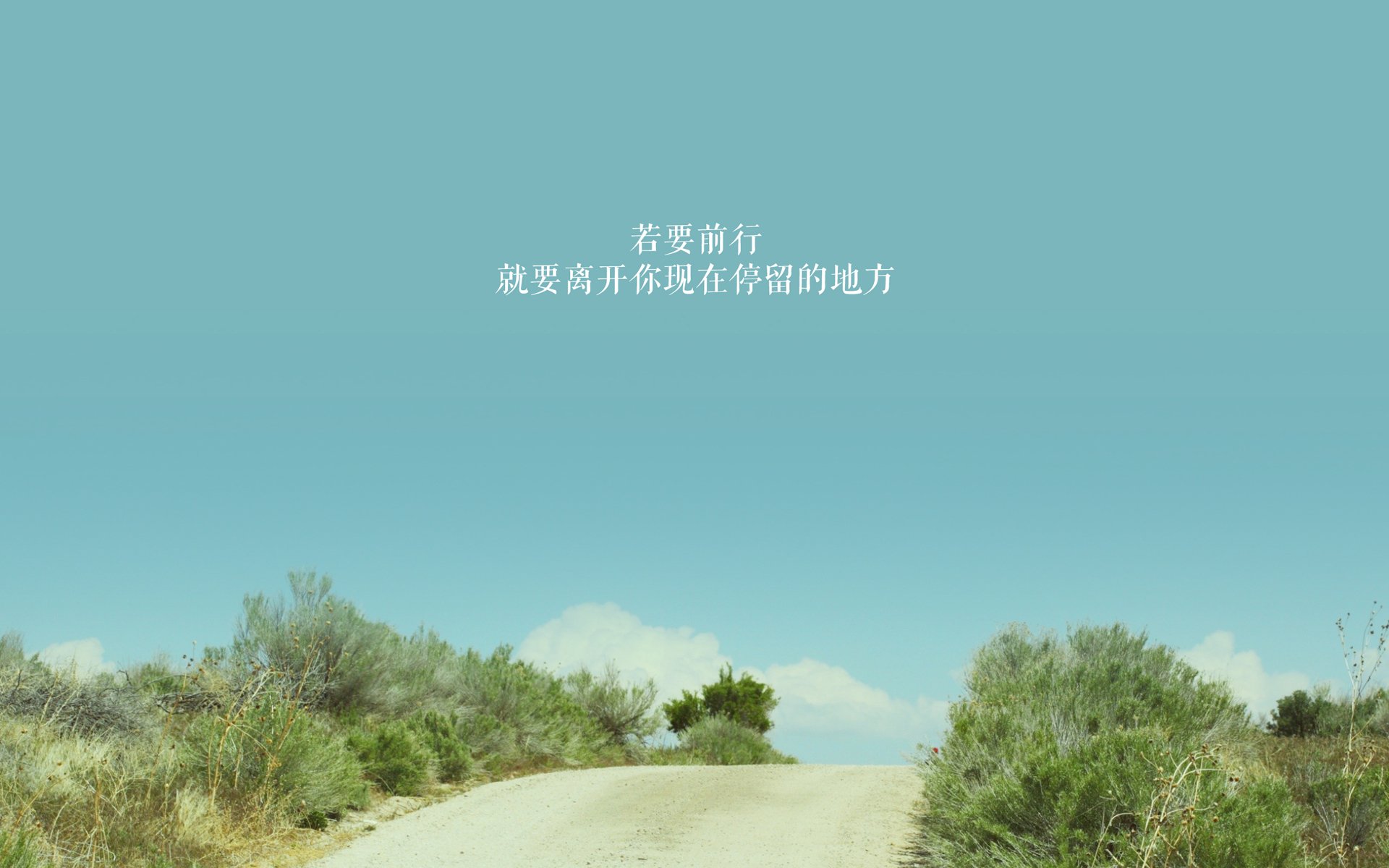 最后一圈的逆袭：逆流而上的赢家，最后一名的逆袭