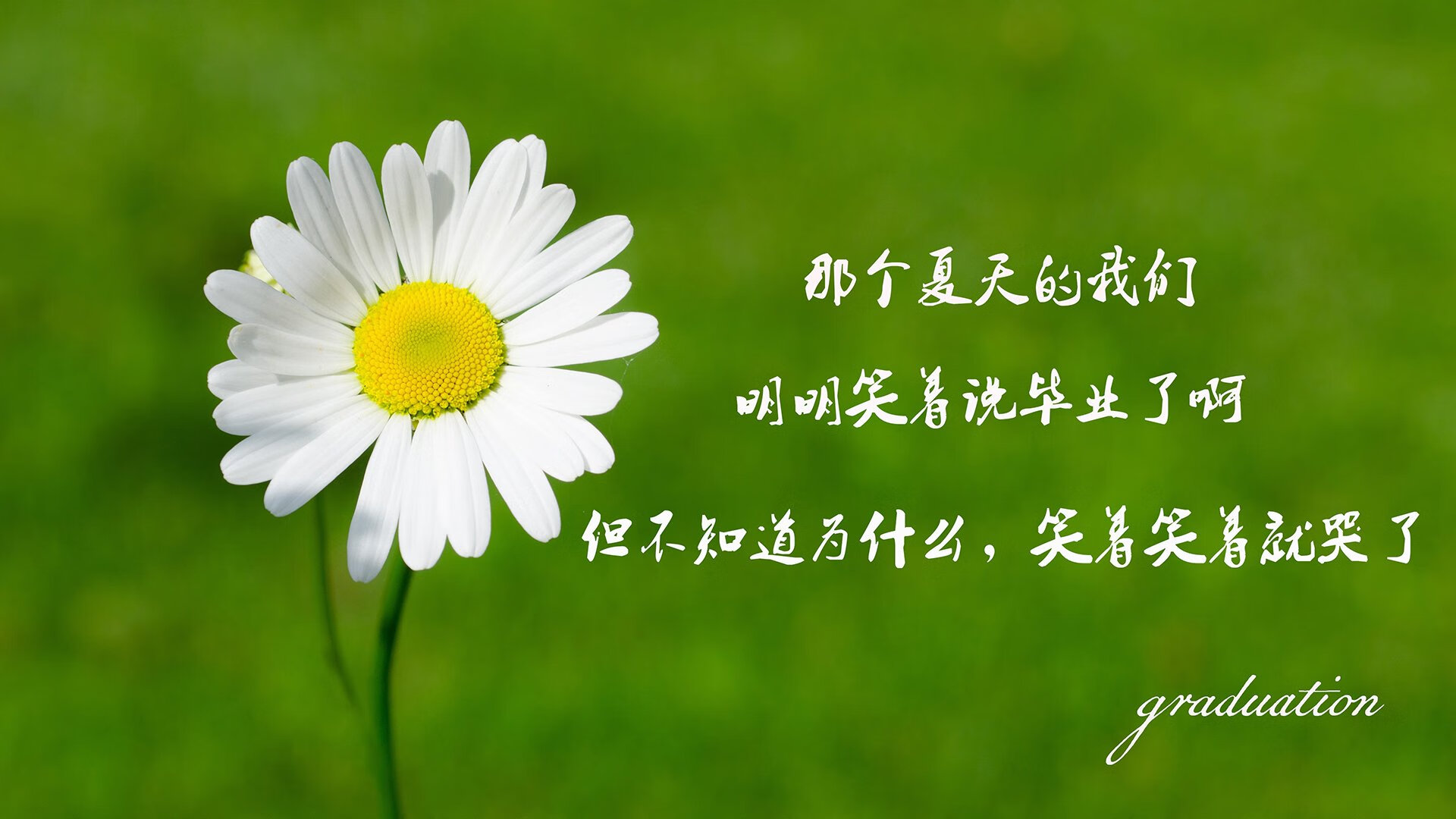 比赛中的精彩瞬间：连续得分、破发瞬间集锦