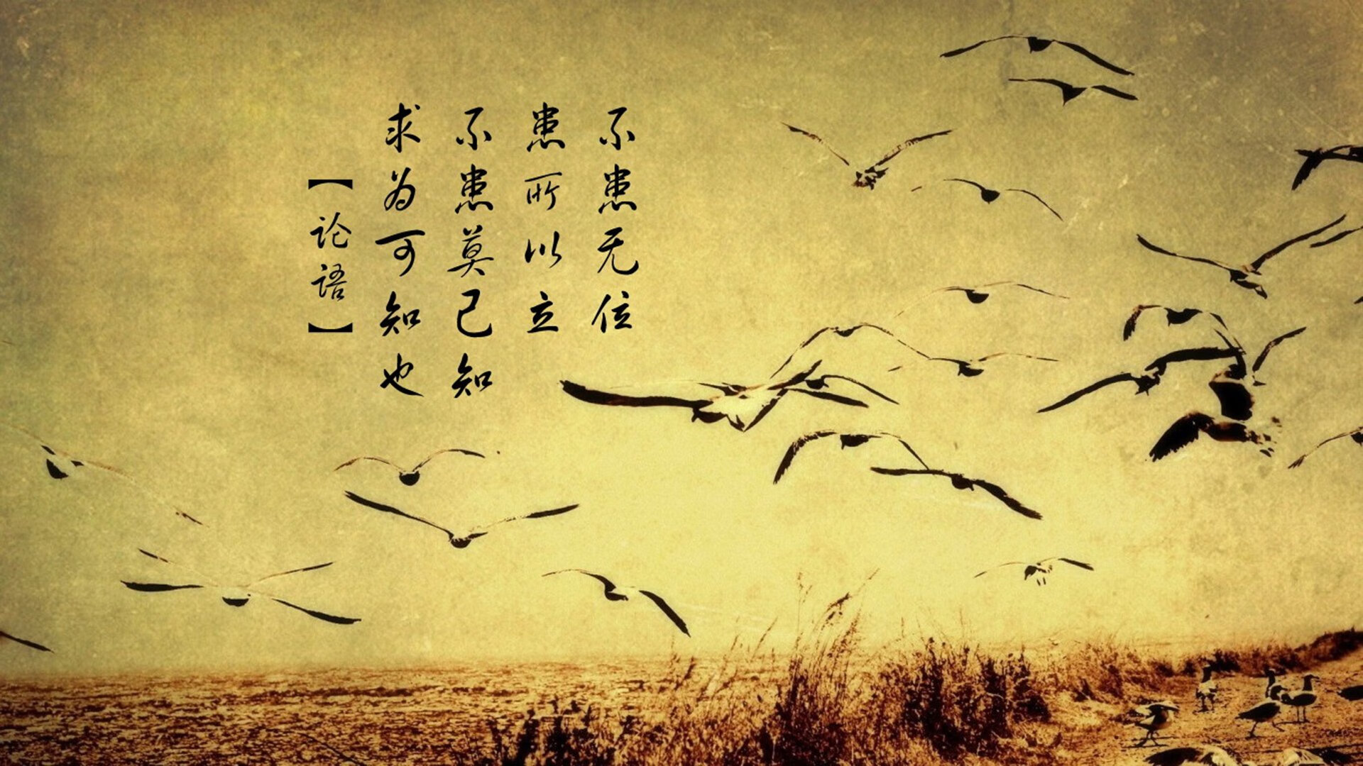 足球直播幕后岗位培训计划开启招募，足球直播解说招聘