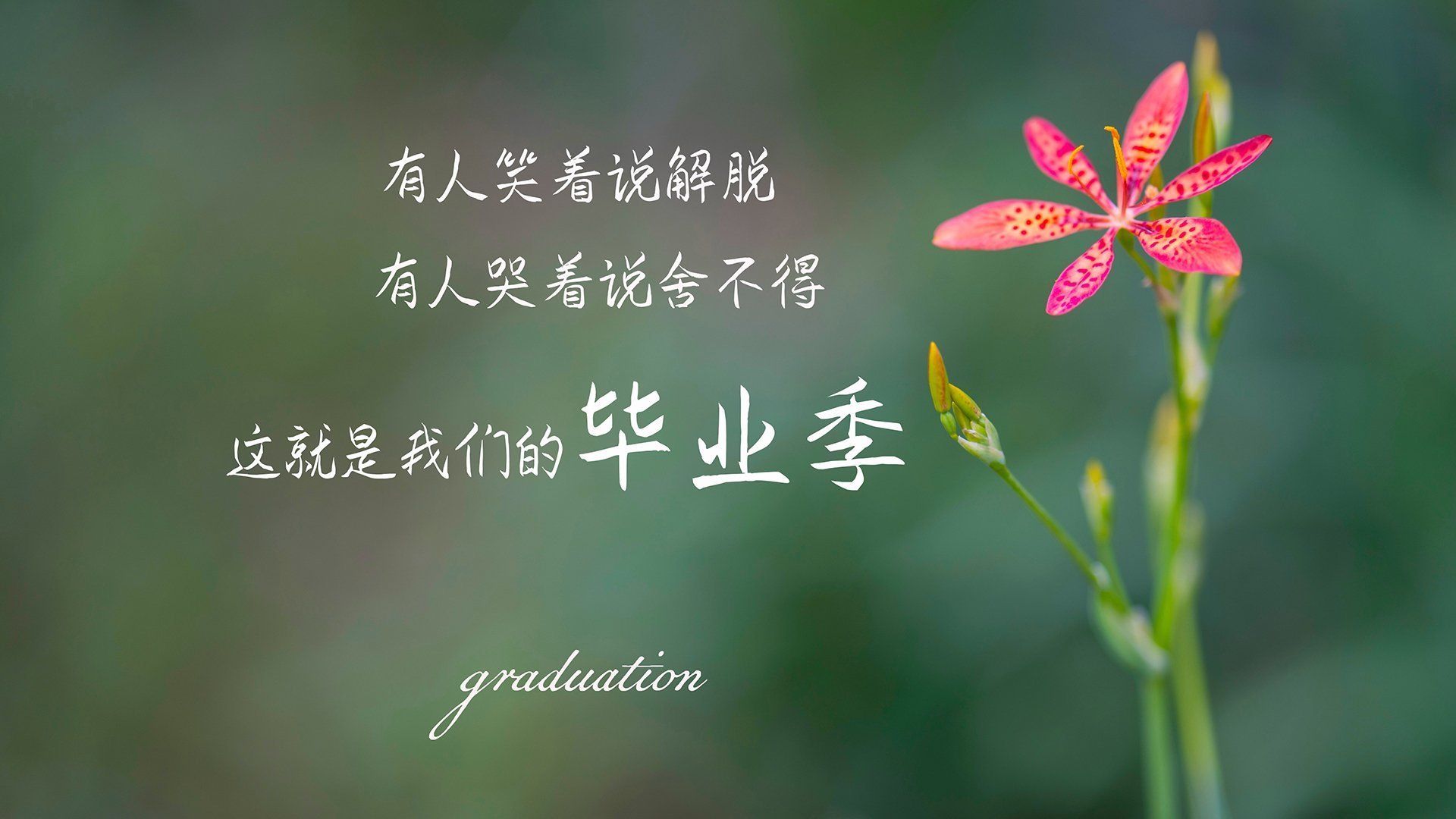 墨西哥队主帅强调体能和速度训练，墨西哥队员
