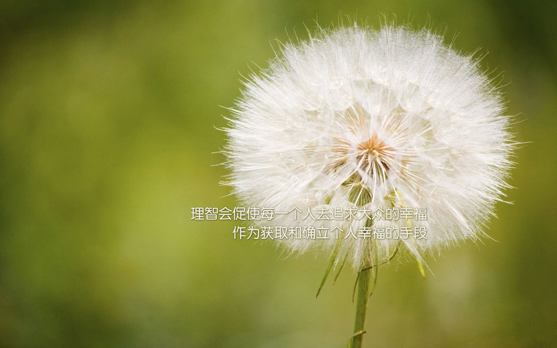 女足世界杯赛场气氛热烈，女足世界杯受追捧