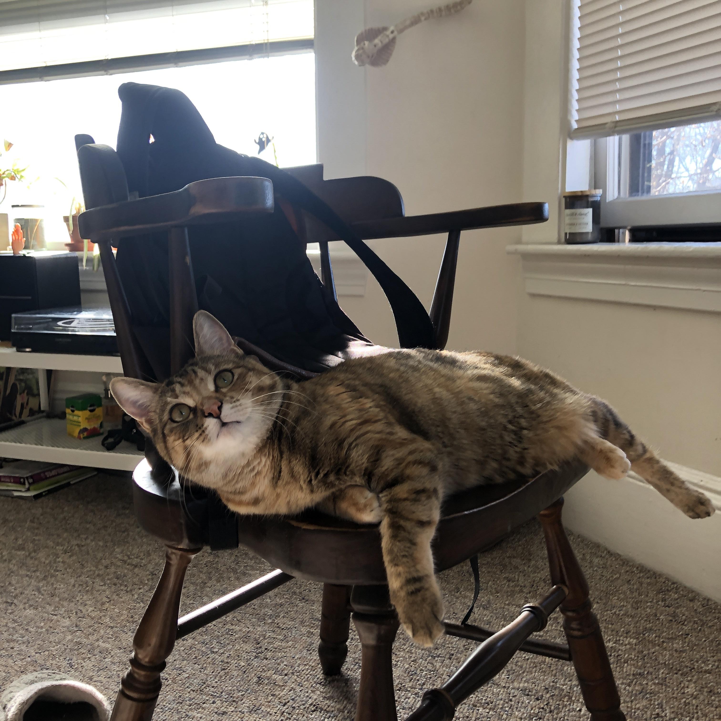 中超球队临场应变机制效果