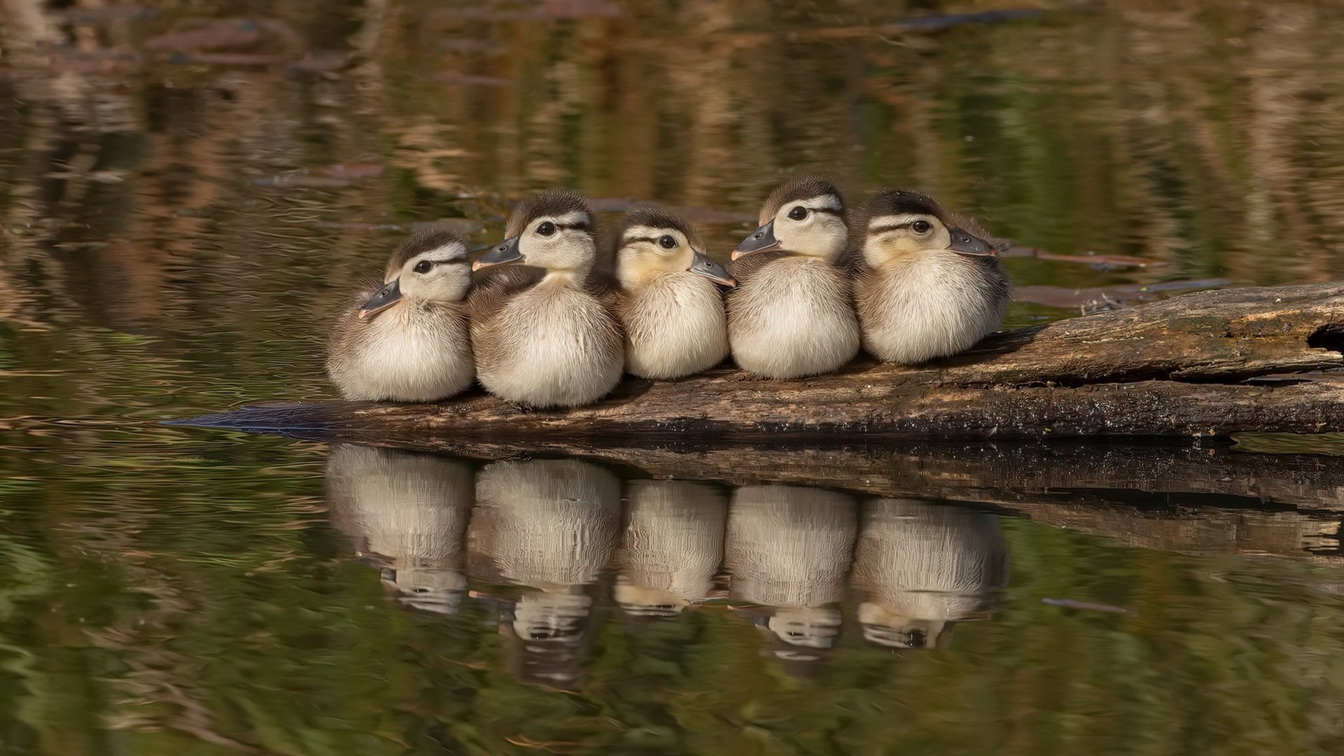 国足远射得分率与出脚区域关系统计,足球远射脚法