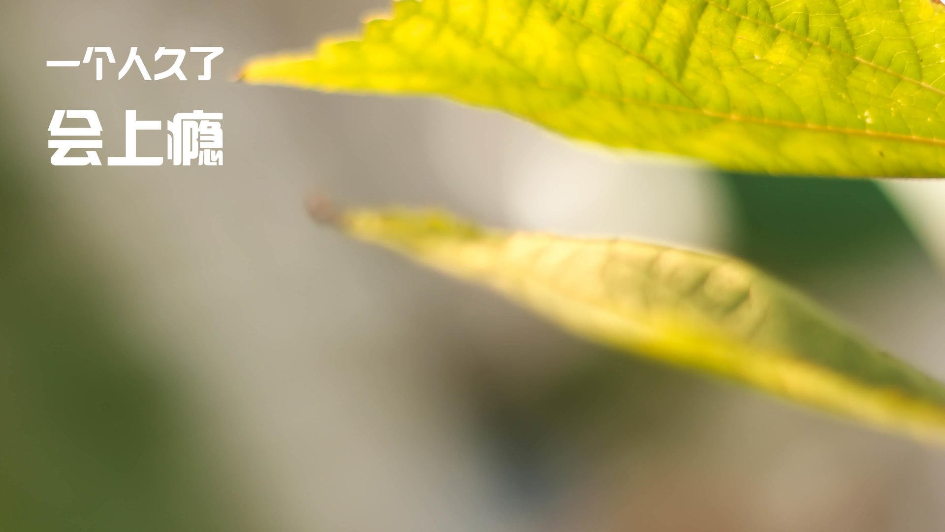 篮球运动员专项力量训练方法及其效果评估,篮球力量训练的特点和主要方法手段