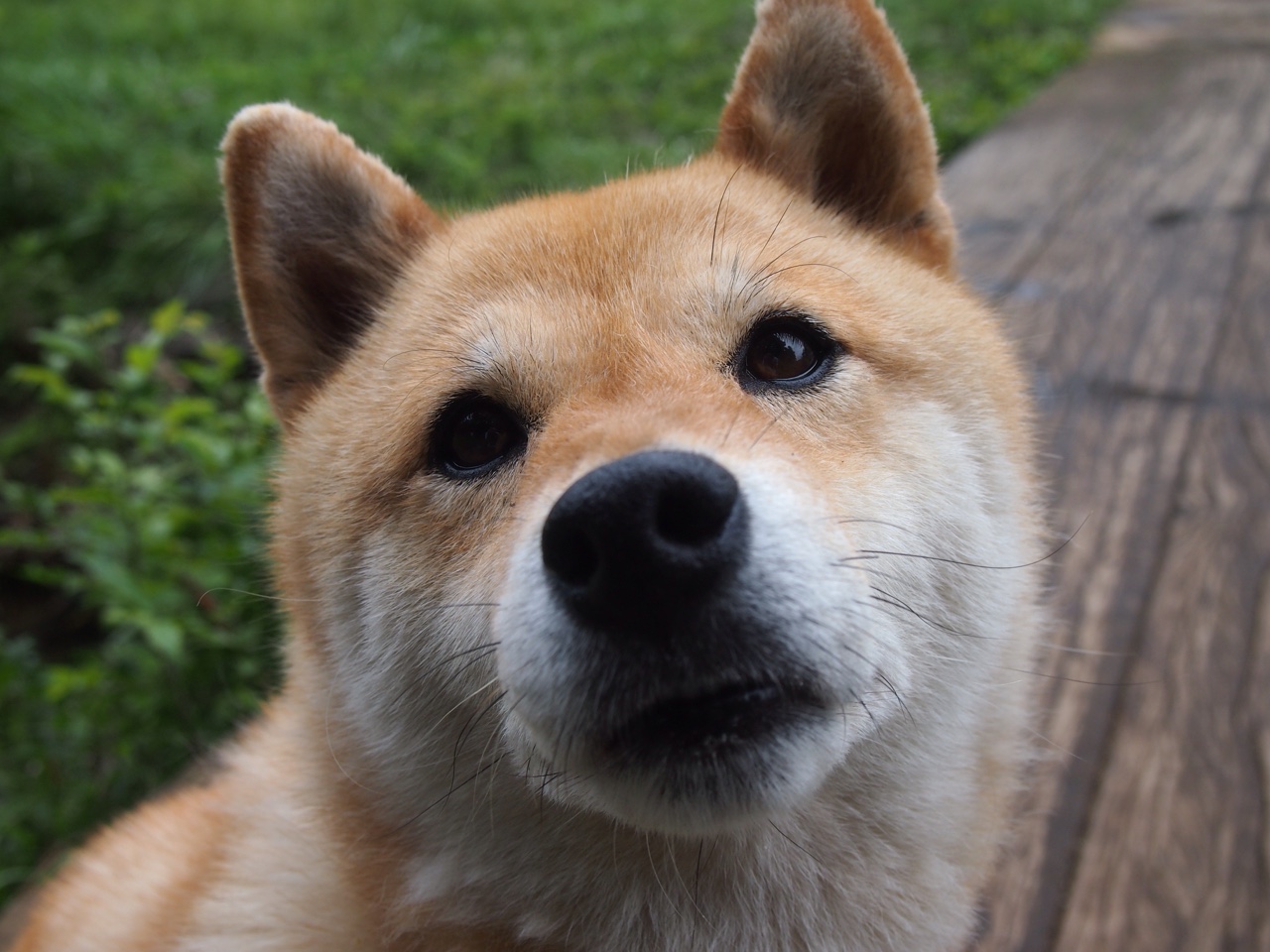 篮球运动员专项力量训练方法及其效果评估,篮球力量训练的特点和主要方法手段