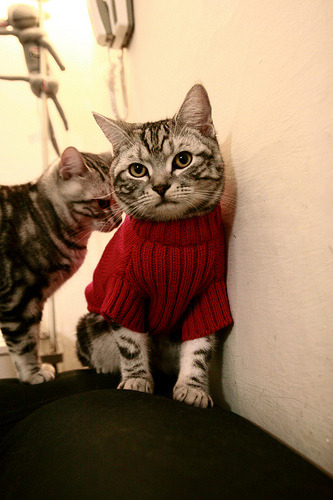 爱游戏APP-CBA裁判系统升级 确保比赛公平公正，cba裁判机制