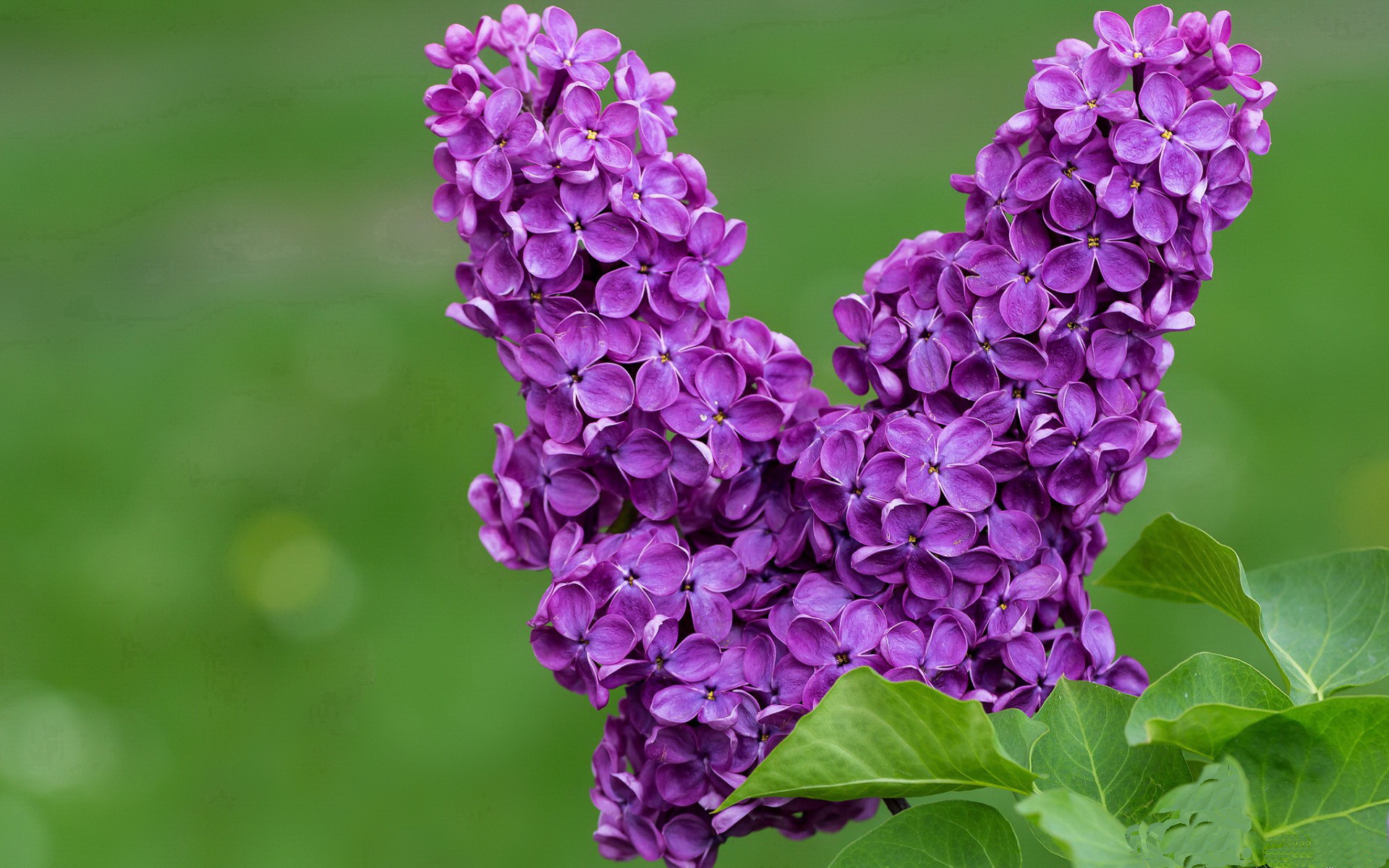 爱游戏娱乐-五大联赛俱乐部财政支出是否与成绩高度相关，五大联赛哪个俱乐部最有钱