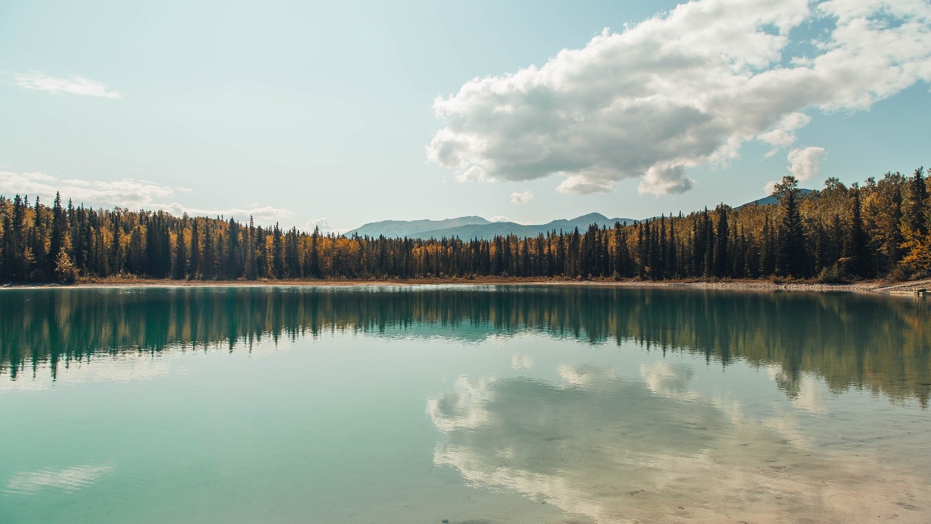 体育新闻中心协办全国体育数字媒体技术交流会，体育数字化