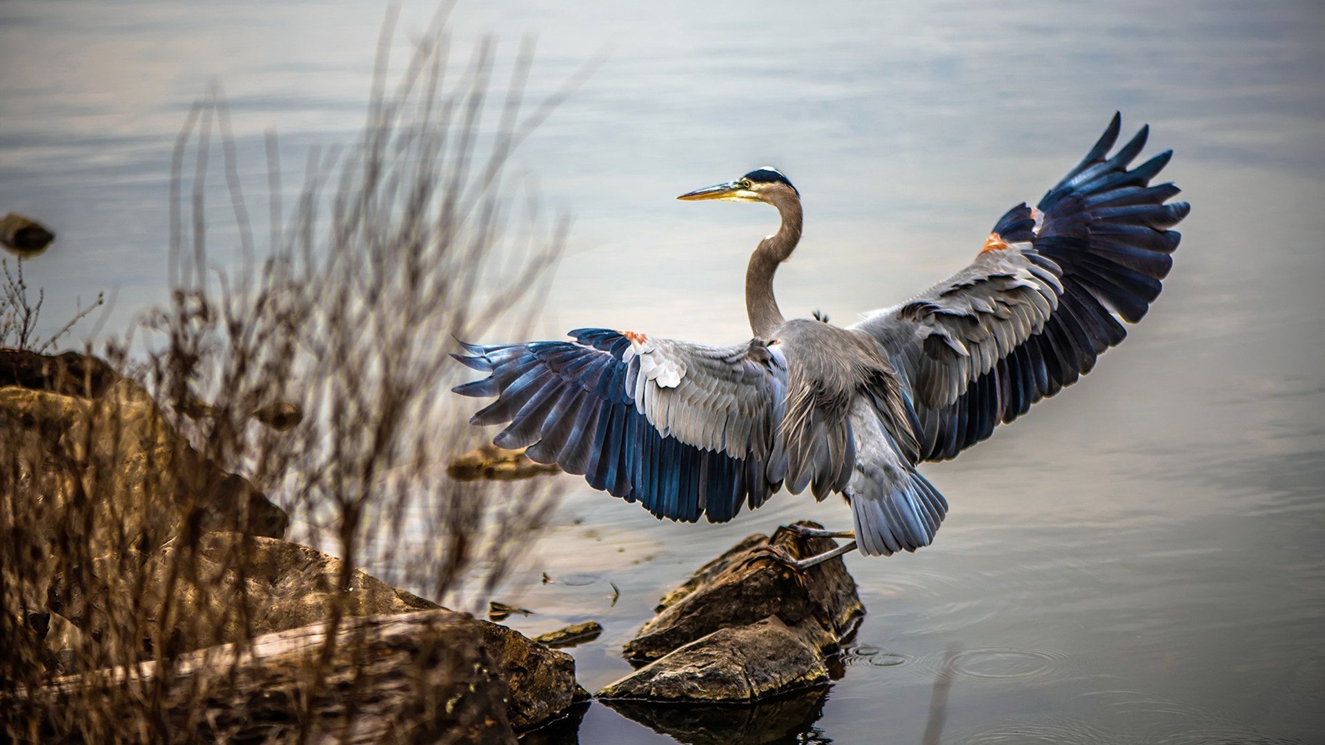 内马尔赛季末伤退，球队士气受挫，内马尔球队2021