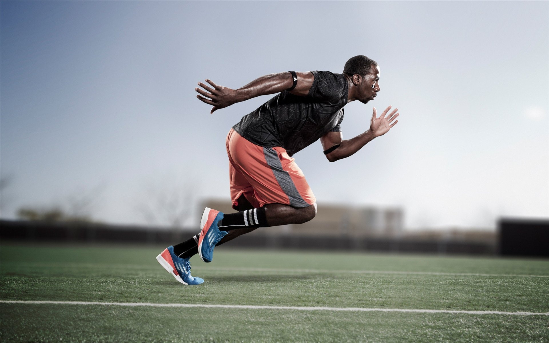 全球观众狂欢：WRC直播全场声势浩大，wrc the official game